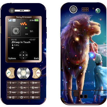 Sony Ericsson W890