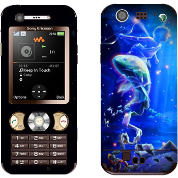 Sony Ericsson W890