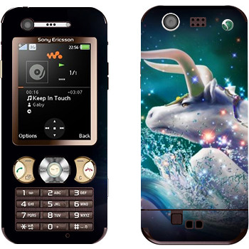 Sony Ericsson W890