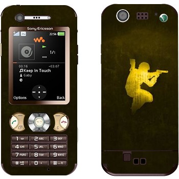 Sony Ericsson W890