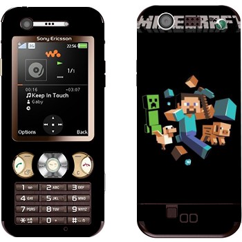 Sony Ericsson W890