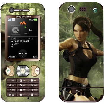 Sony Ericsson W890