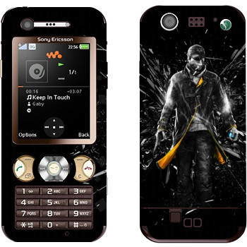 Sony Ericsson W890