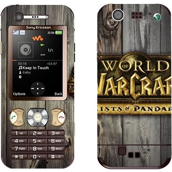 Sony Ericsson W890