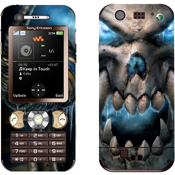 Sony Ericsson W890