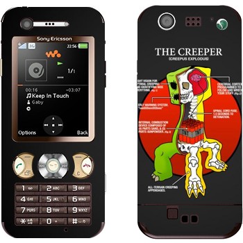 Sony Ericsson W890