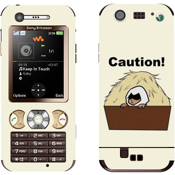 Sony Ericsson W890