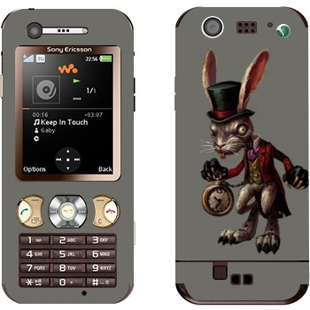 Sony Ericsson W890