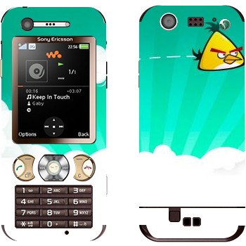   « - Angry Birds»   Sony Ericsson W890