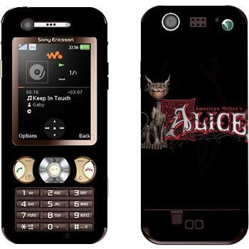 Sony Ericsson W890