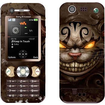 Sony Ericsson W890