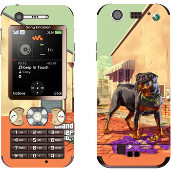 Sony Ericsson W890