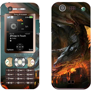 Sony Ericsson W890