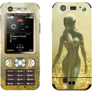 Sony Ericsson W890