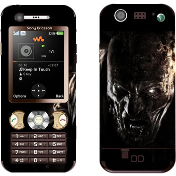 Sony Ericsson W890