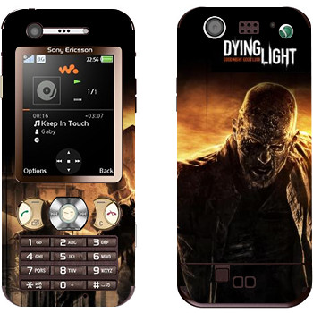 Sony Ericsson W890