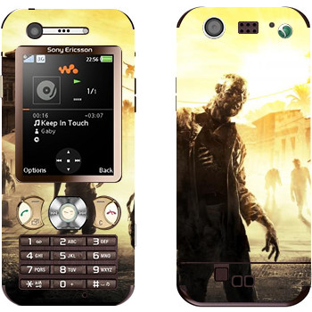 Sony Ericsson W890