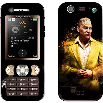 Sony Ericsson W890