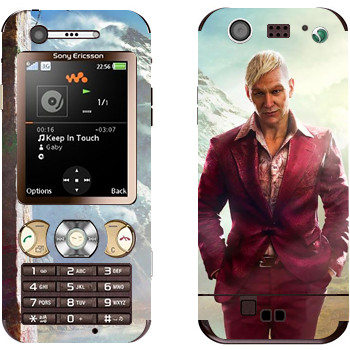 Sony Ericsson W890