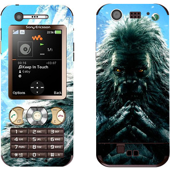   «Far Cry 4 - »   Sony Ericsson W890