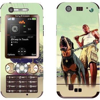 Sony Ericsson W890