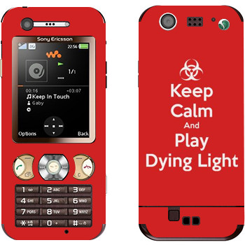 Sony Ericsson W890