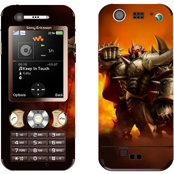 Sony Ericsson W890