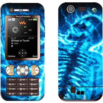 Sony Ericsson W890