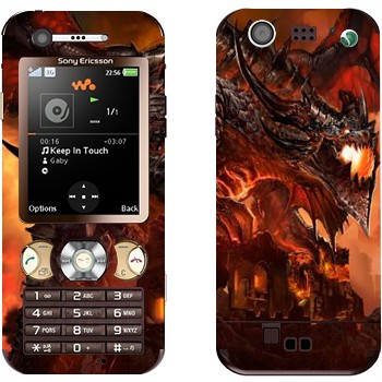 Sony Ericsson W890