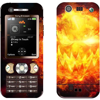 Sony Ericsson W890