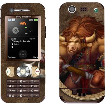 Sony Ericsson W890