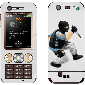 Sony Ericsson W890