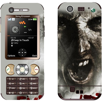 Sony Ericsson W890