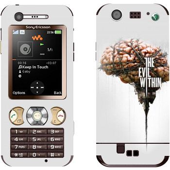 Sony Ericsson W890