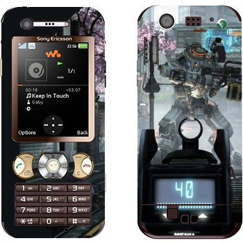 Sony Ericsson W890