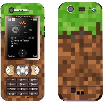 Sony Ericsson W890