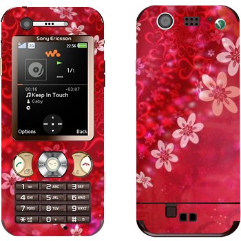 Sony Ericsson W890