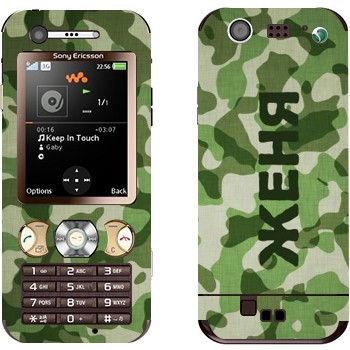 Sony Ericsson W890