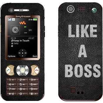 Sony Ericsson W890