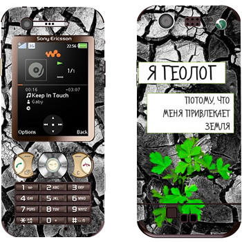 Sony Ericsson W890