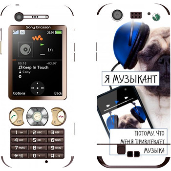 Sony Ericsson W890