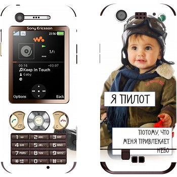   « »   Sony Ericsson W890