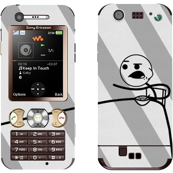 Sony Ericsson W890