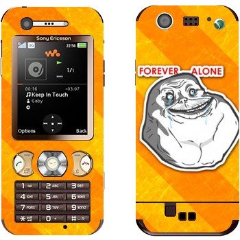 Sony Ericsson W890