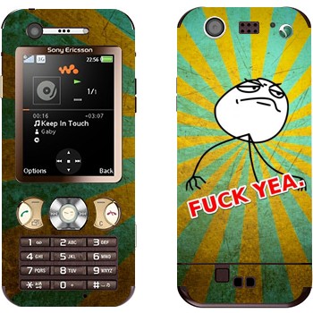 Sony Ericsson W890