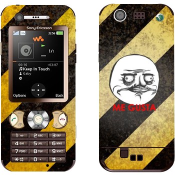   «Me gusta»   Sony Ericsson W890