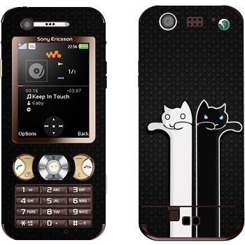   «   »   Sony Ericsson W890