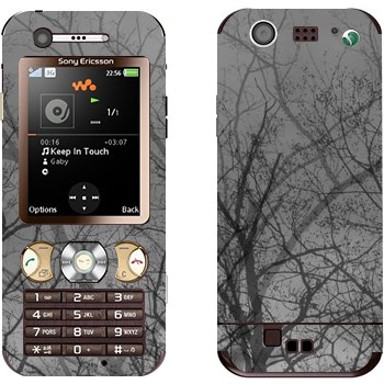 Sony Ericsson W890