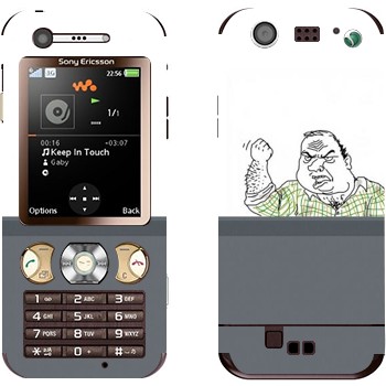   «  »   Sony Ericsson W890