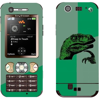 Sony Ericsson W890